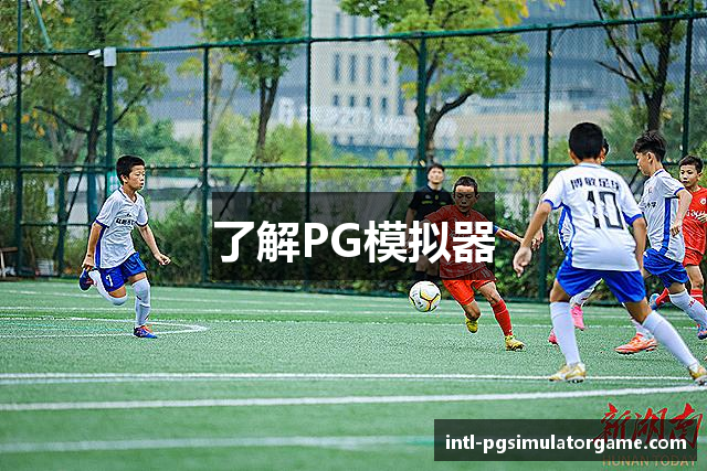 了解PG模拟器